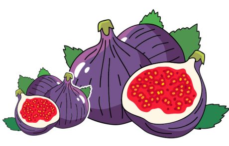 תאנה, יתרונות בריאותיים וערך תזונתי