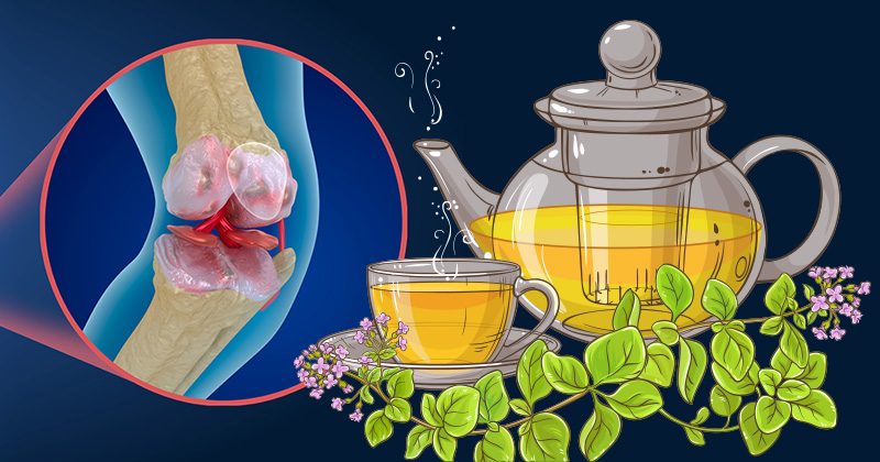 יתרונותיו הבריאותיים של תה האורגנו