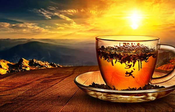 תה טיבטי עתיק ועצמתי לבריאות טובה, ירידה במשקל ואריכות חיים
