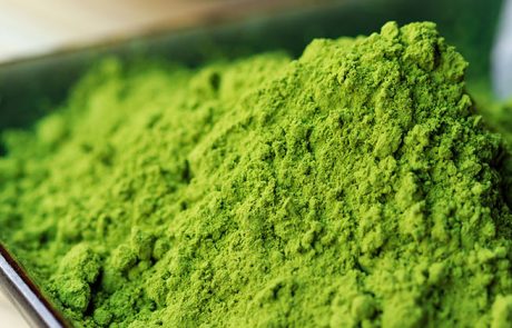 תה מאצ'ה ירוק מחסל תאי סרטן, עפ"י מחקר
