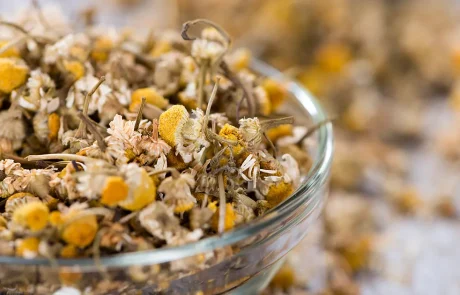 תה קמומיל (בבונג) יתרונות הבריאות העיקריים