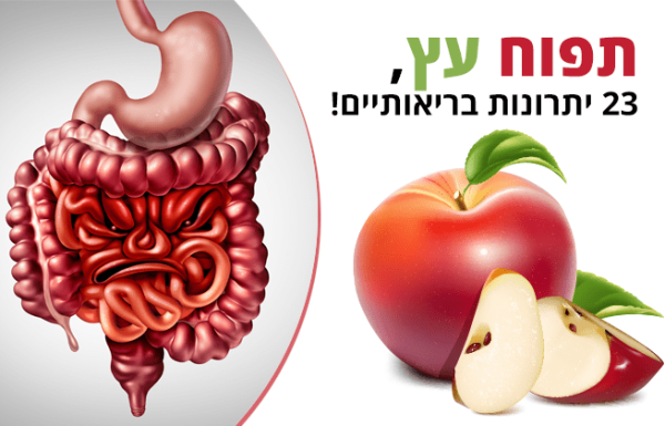 תפוח עץ, 23 יתרונות בריאותיים, ערך תזונתי וזנים נפוצים