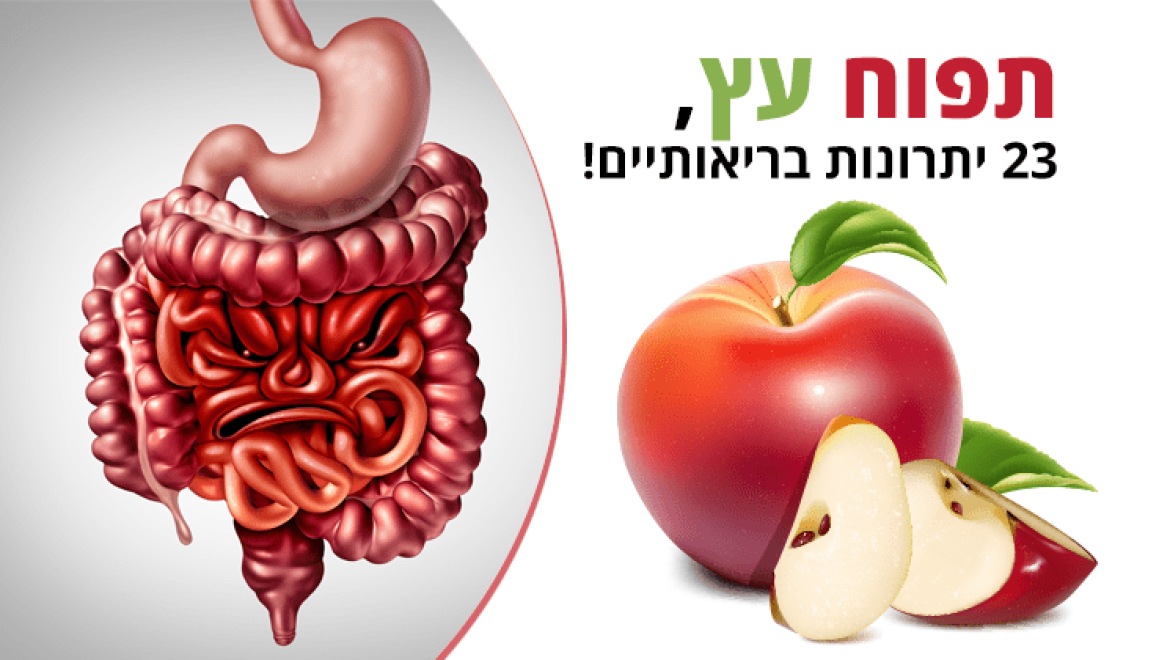 תפוח עץ, 23 יתרונות בריאותיים, ערך תזונתי וזנים נפוצים